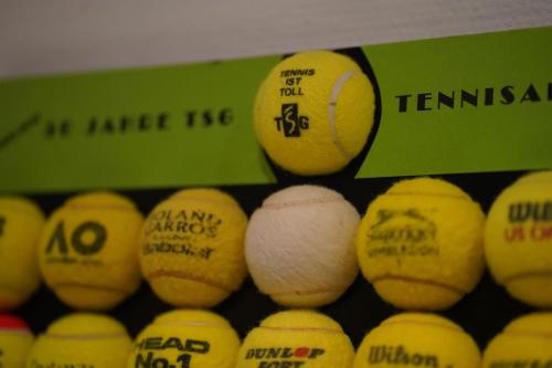 tsg-tennis-50-jahre-05