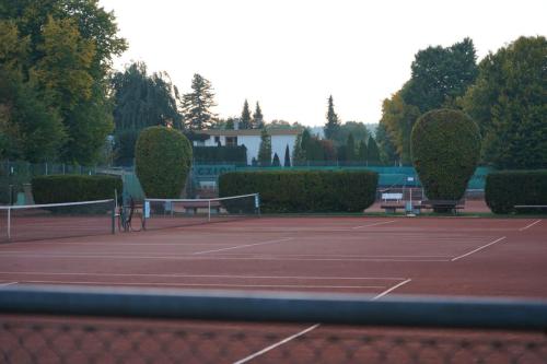 tsg-tennis-sandplaetze-05